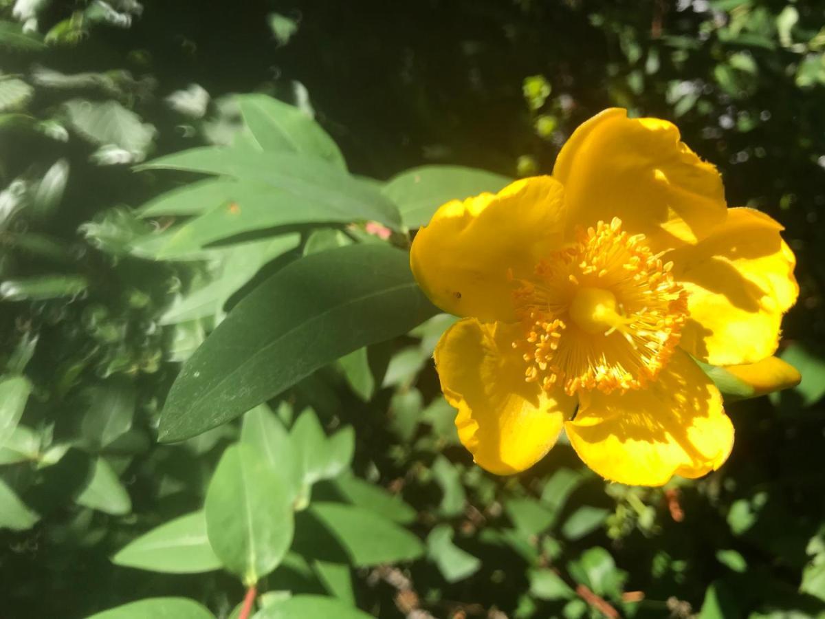 Gaestezimmer Bei Ingrid Tuebingen Ngoại thất bức ảnh